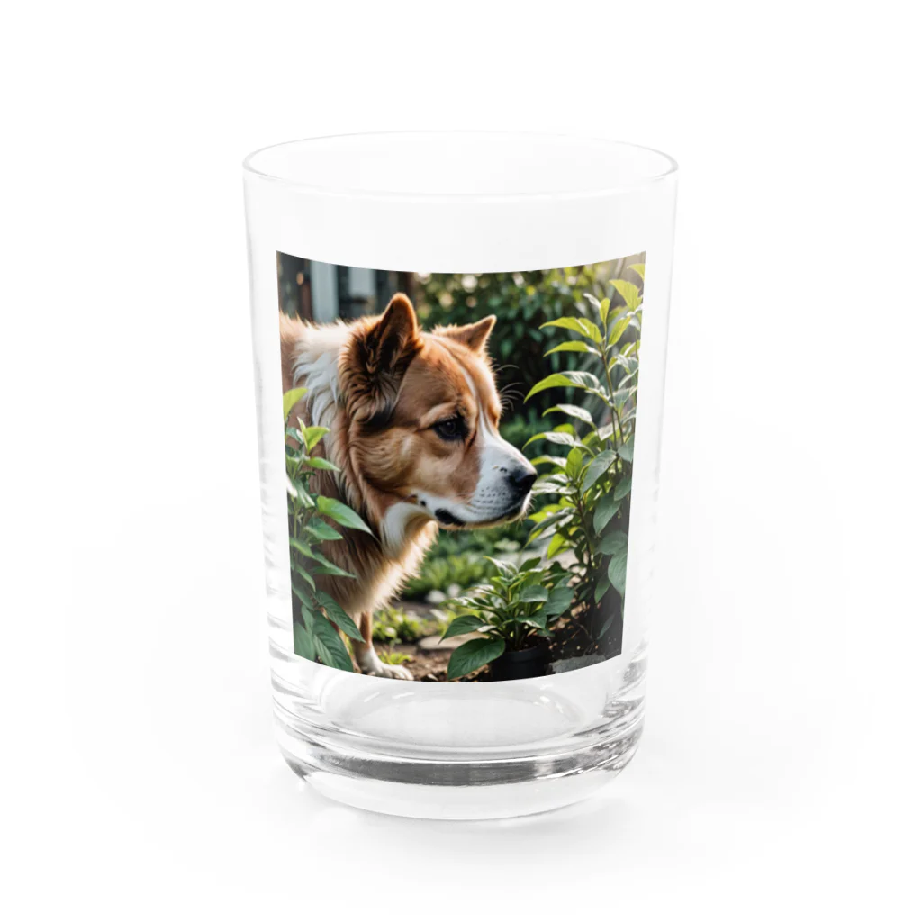 neeeeeeの草と犬 Water Glass :front