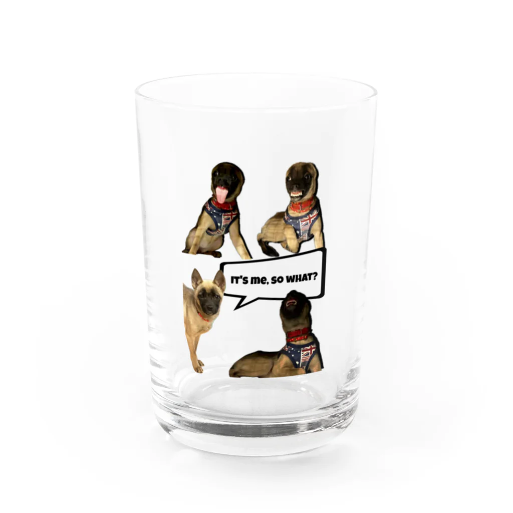 毛玉のおうちチャリティーグッズ販売suzuri部のIT'S me. SO WHAT? Water Glass :front