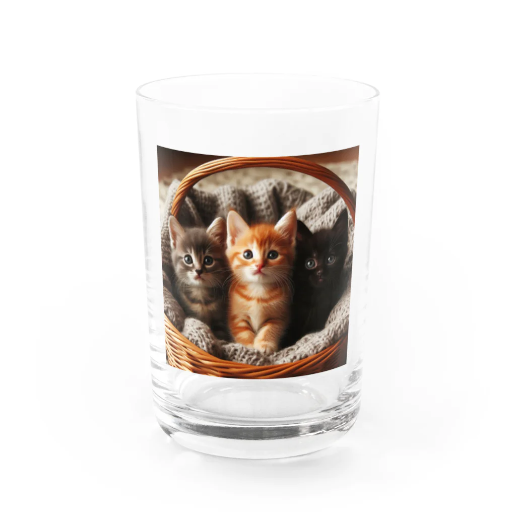 キャットパラダイス☆彡の3匹の猫ちゃんグッツ Water Glass :front