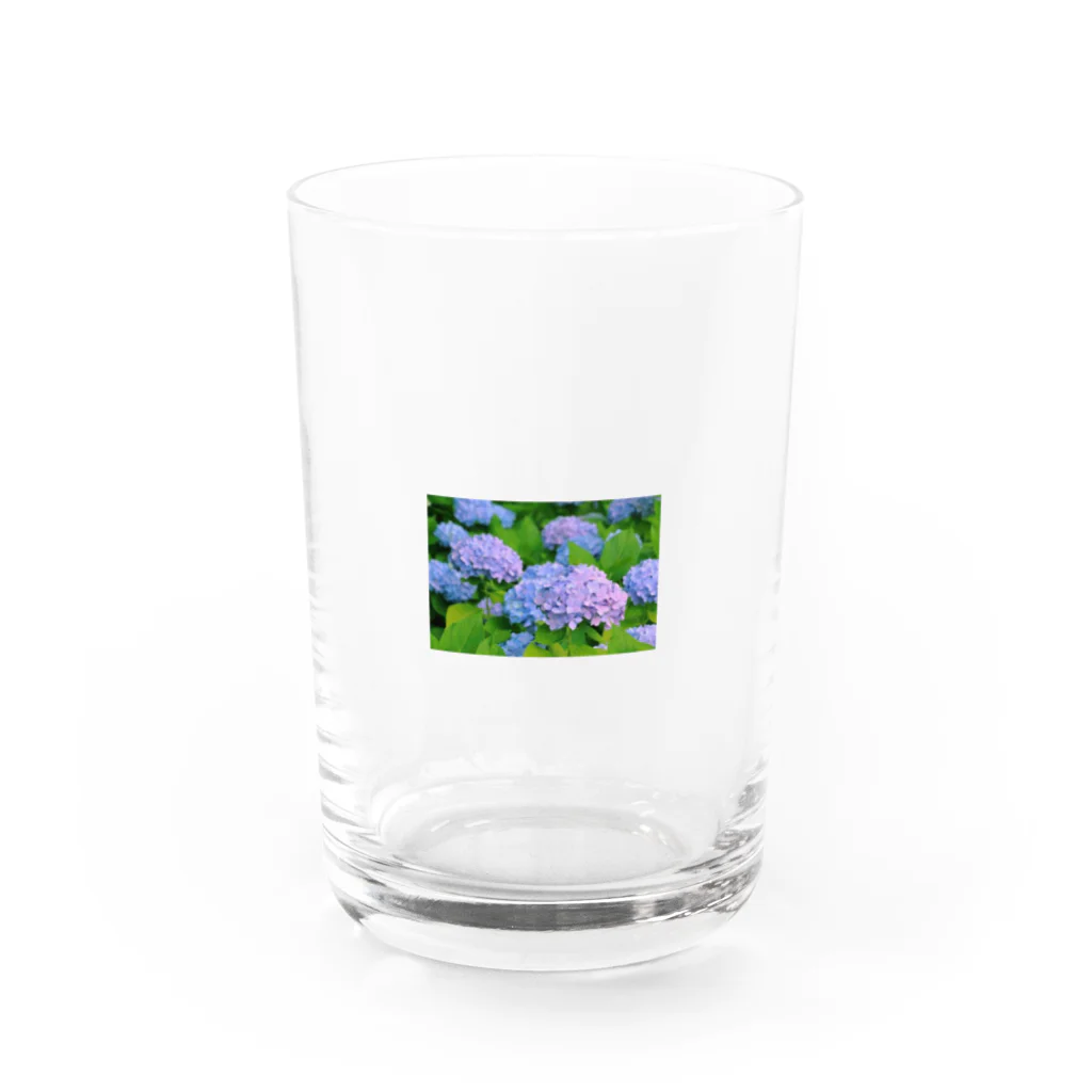 アッキーSTjのあじさい Water Glass :front