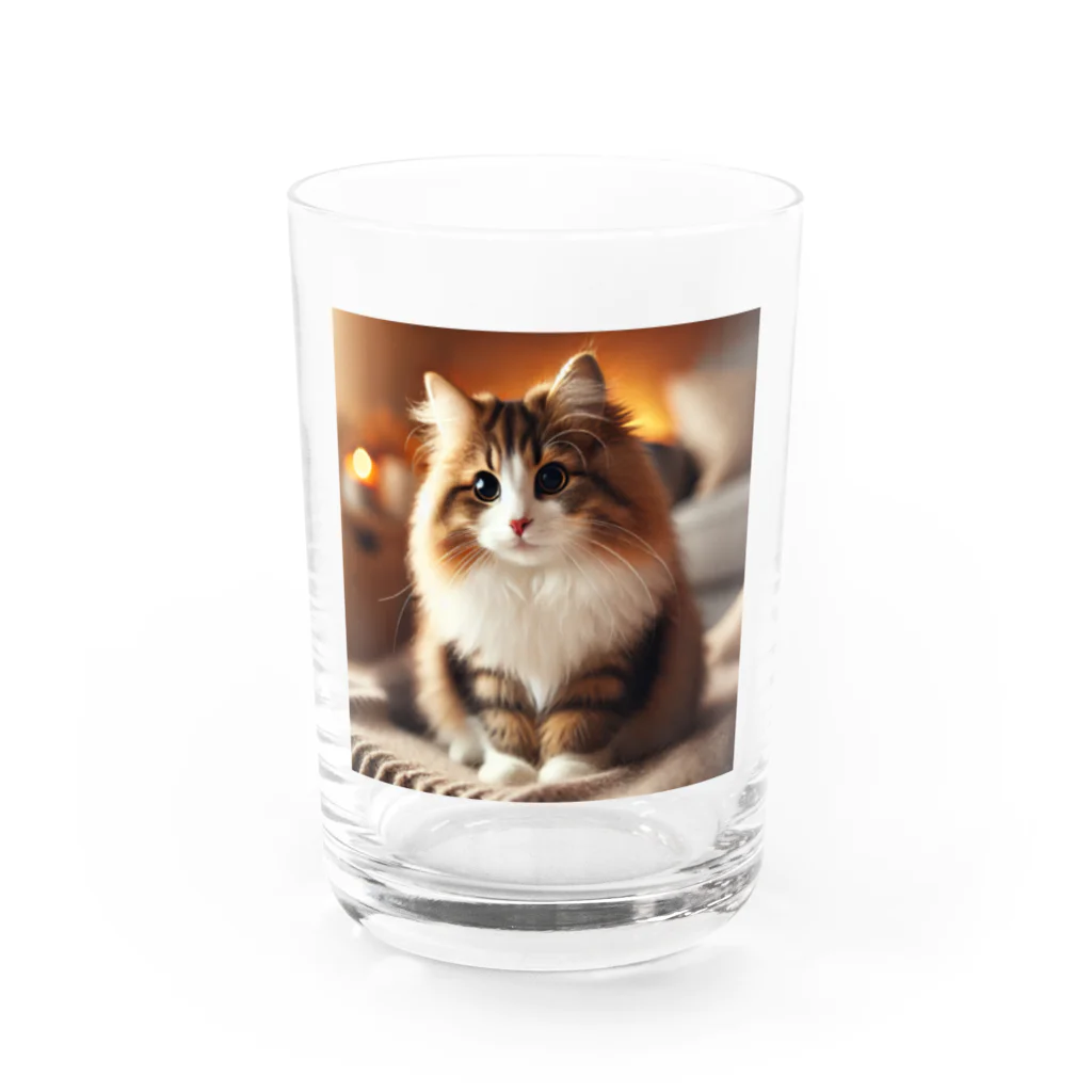 akinyan3128の私はモフモフ　(ノーウィージャンフォレストキャット) Water Glass :front