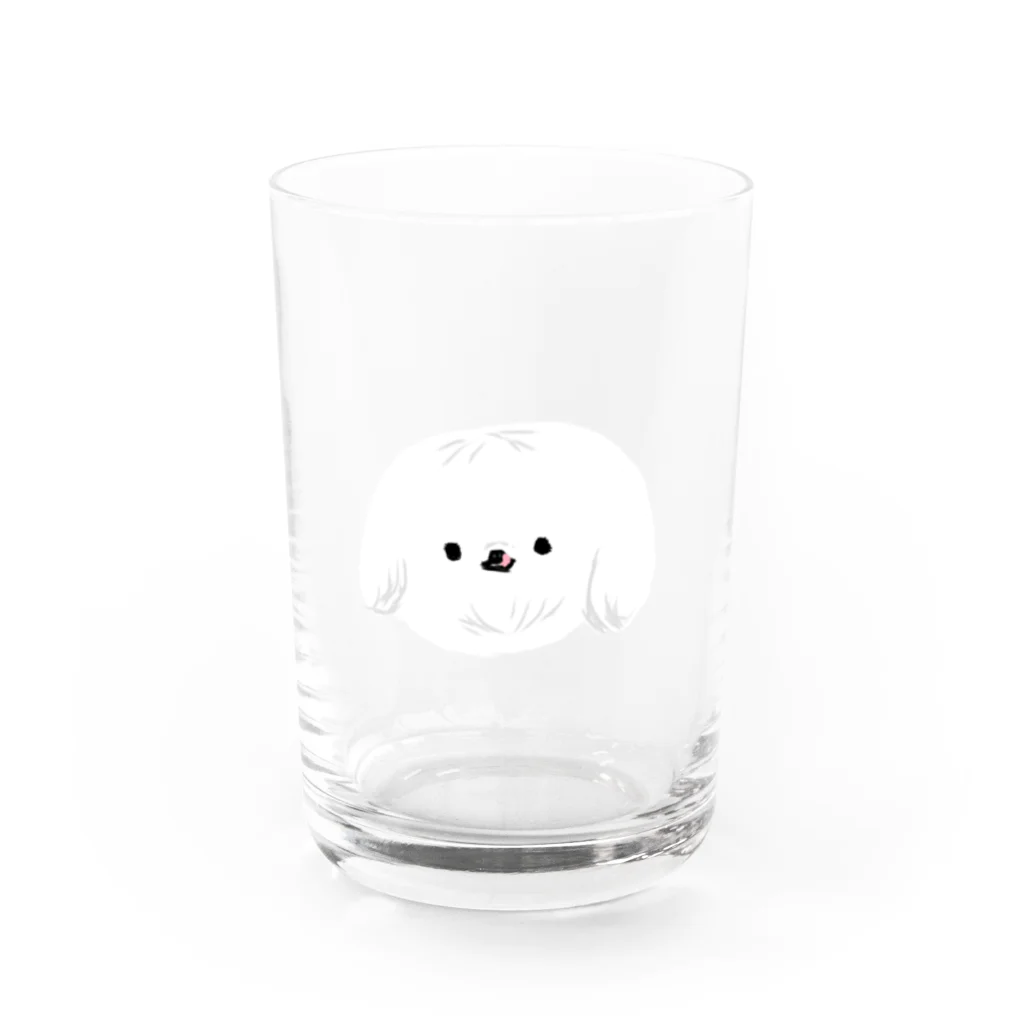 テレパシーズー犬のはなぺろぺろ Water Glass :front