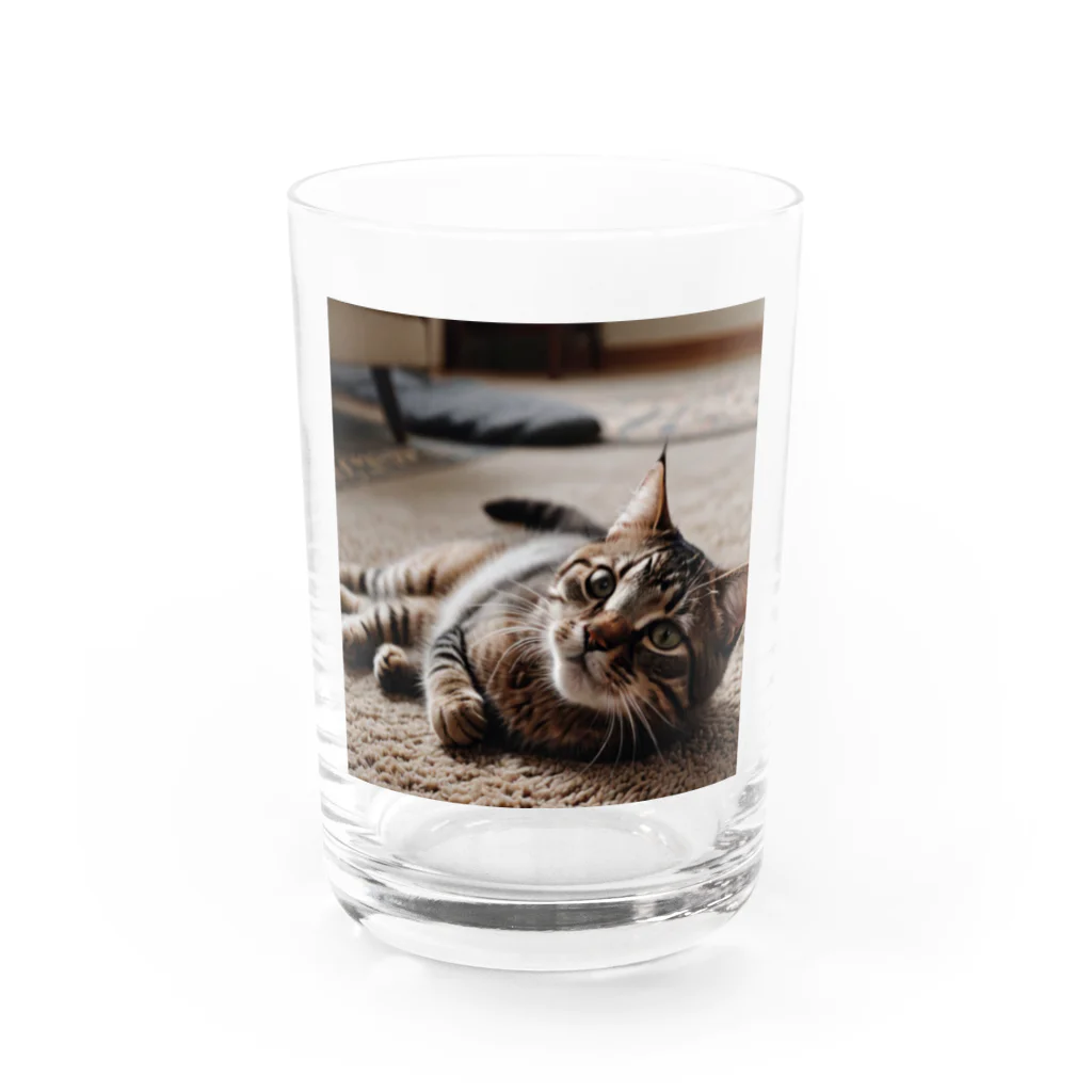 zigerparkの寝転ぶ猫 Water Glass :front