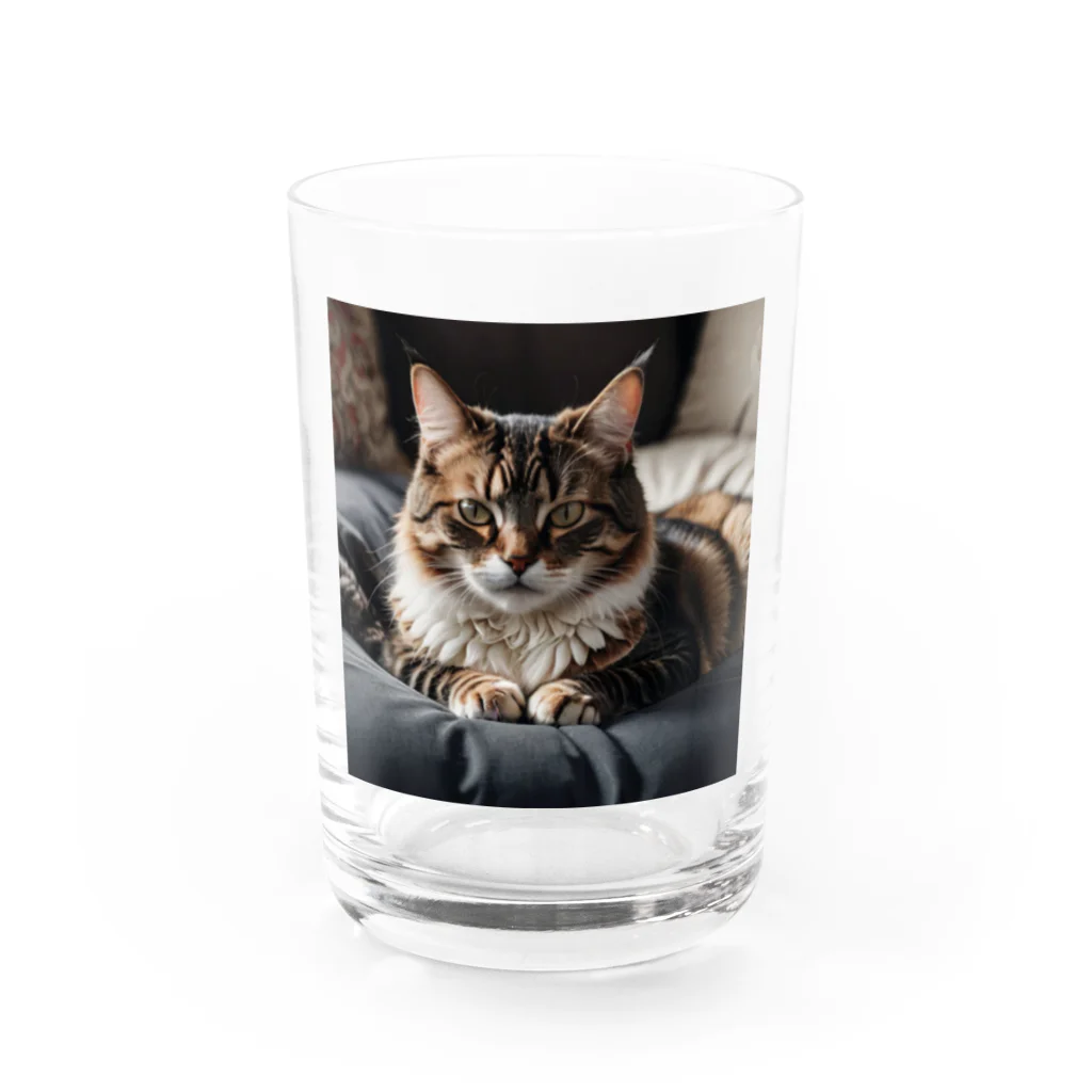 zigerparkのクッションと猫 Water Glass :front