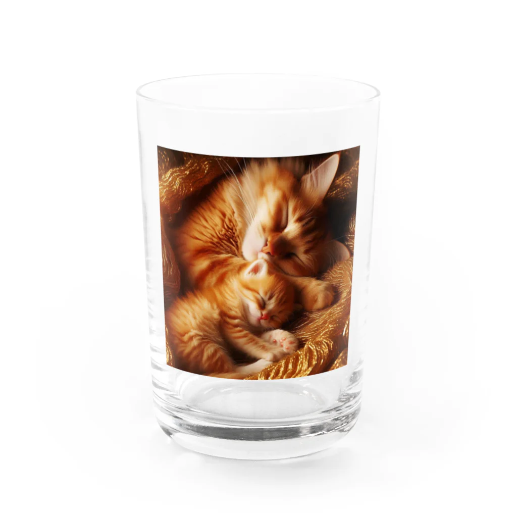 taryoセレクションの親子猫のほのぼのスリープ③ Water Glass :front