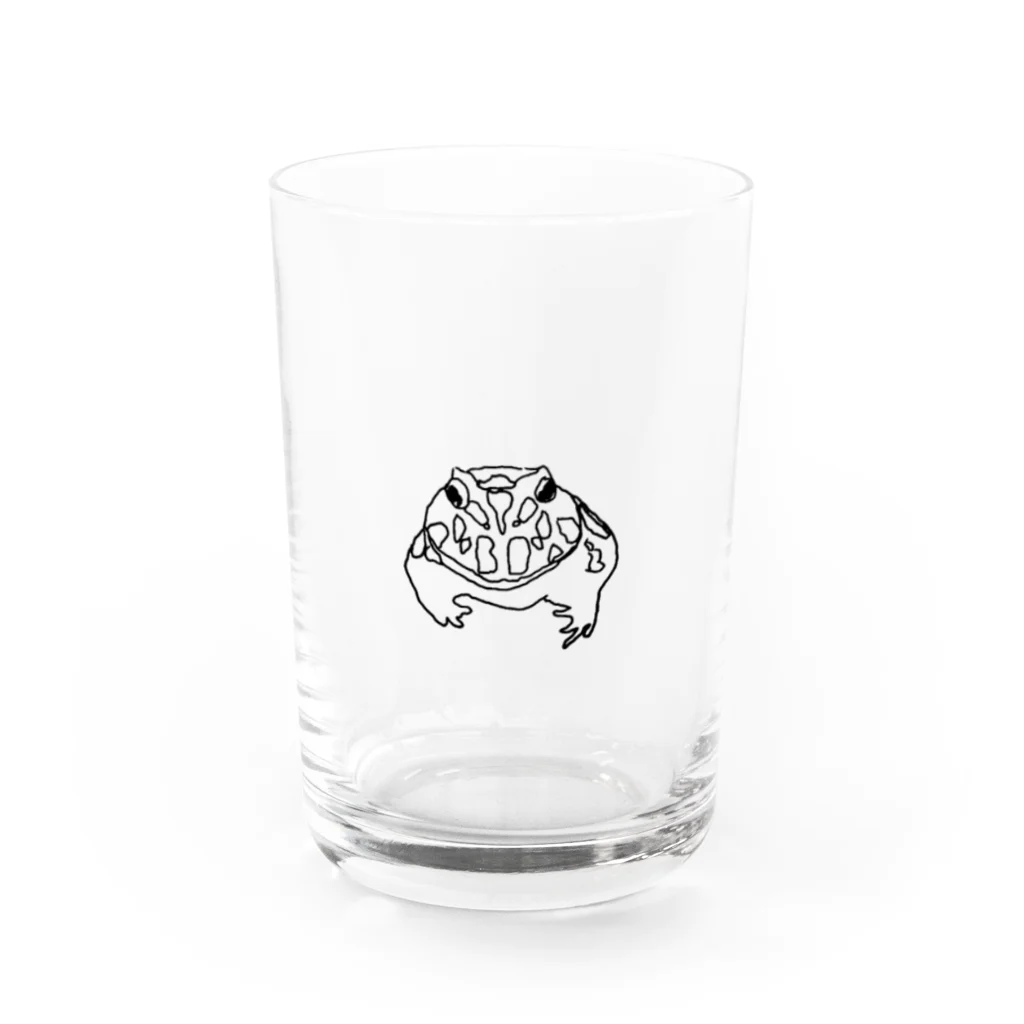 ピエールストア　pierre storeのツノガエル Water Glass :front