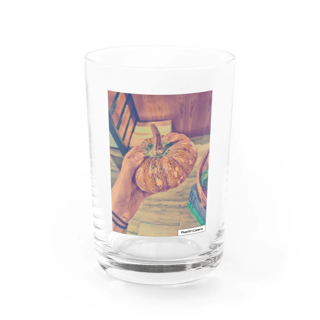 LUIS buleのpumpkin３ Water Glass :front