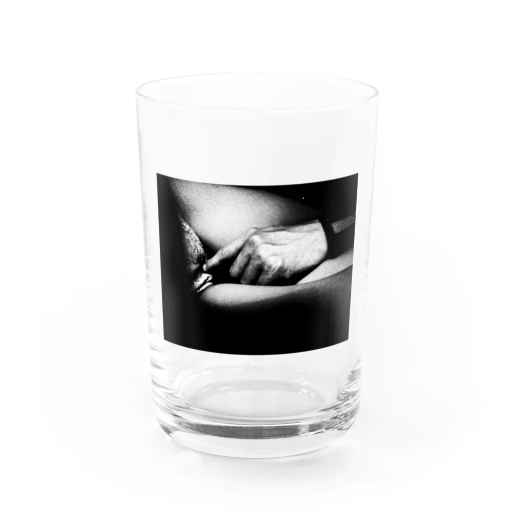 視覚世界の哲学的指示 Water Glass :front