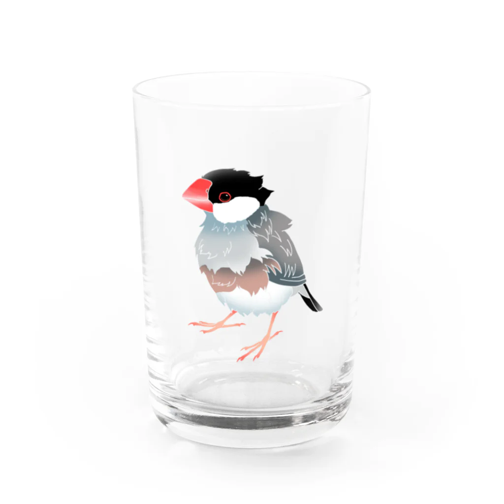 福みみチュンの濡れ文鳥 Water Glass :front