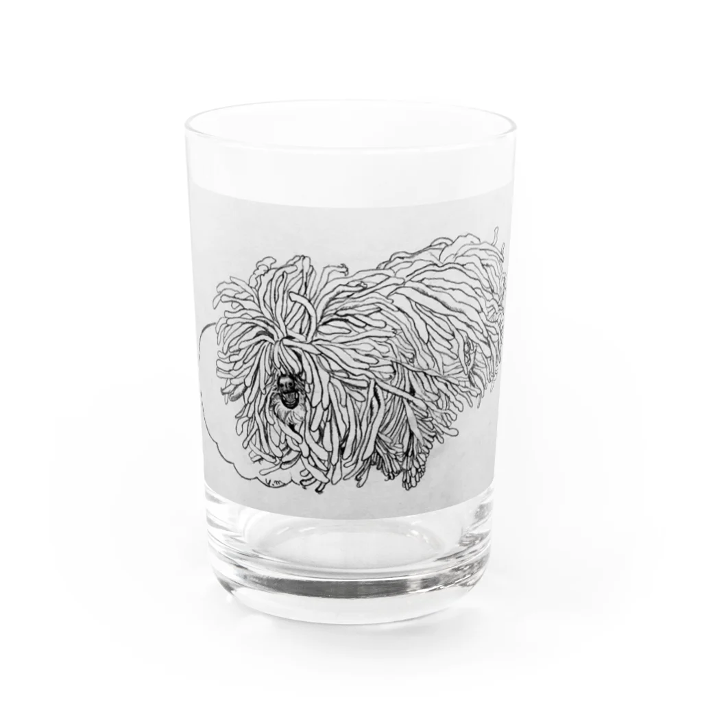 光平洋子のかしこいプーリー犬が転がる。 puli illustration  Water Glass :front