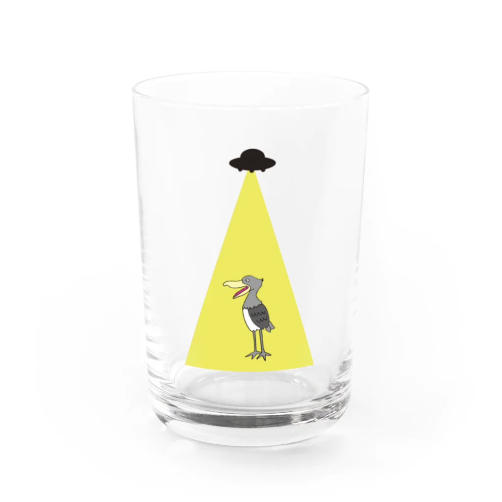 Panda factoryのUFOに連れていかれるハシビロコウ Water Glass :front