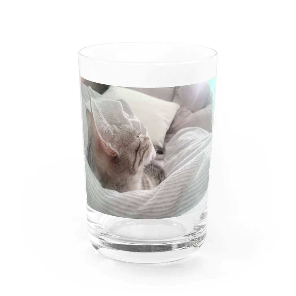 rikkyo_lgbtnizaのねこ Water Glass :front