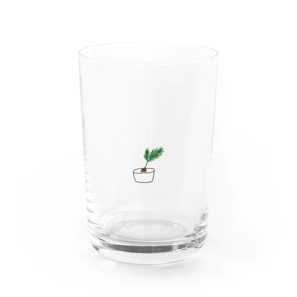 rkkのソテツ Water Glass :front