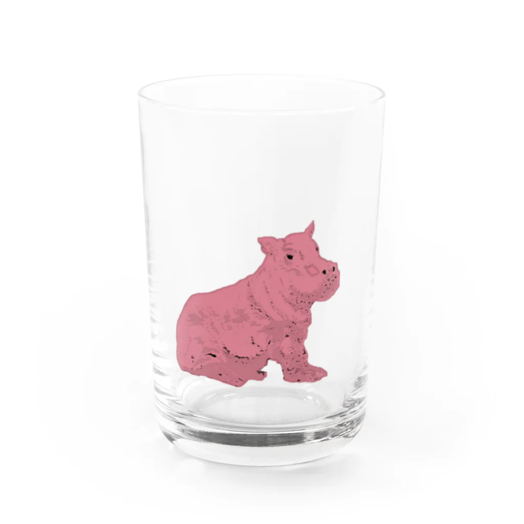 aya aceのＨＩＰＰＯ Water Glass :front