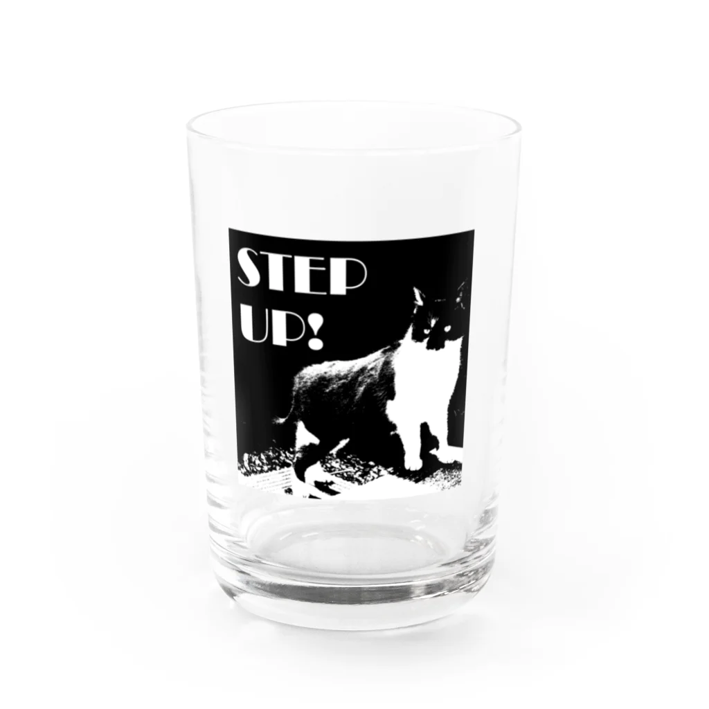 川原ナツミのSTEP UP!ねこ Water Glass :front