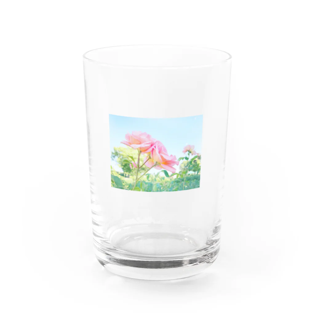 さんぽ / sampoのばらの香り Water Glass :front