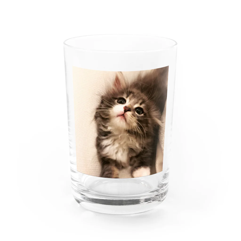 ノルウェー達ののるちゃん Water Glass :front