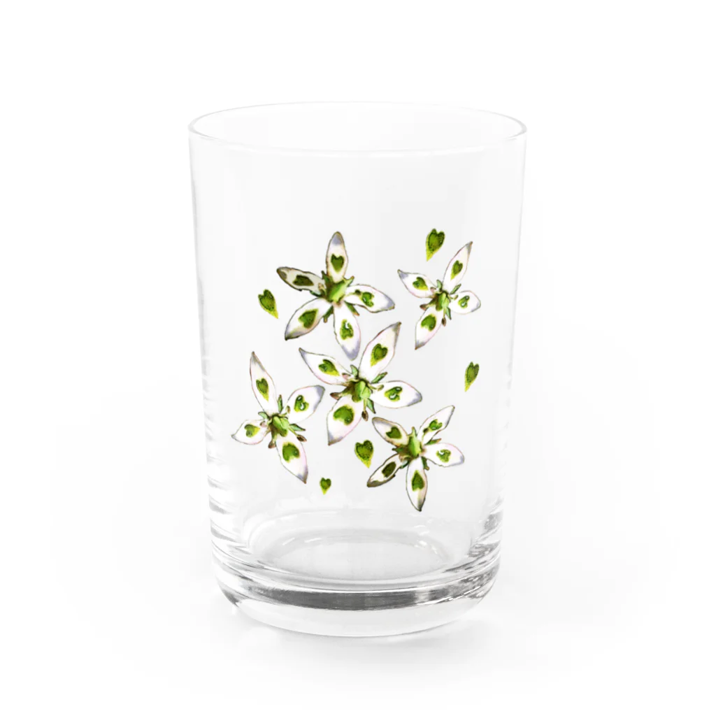 かわず屋のヘツカリンドウ Water Glass :front