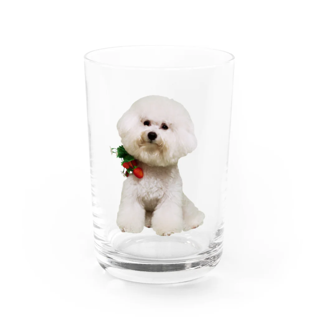 parkmansionのma01 Water Glass :front