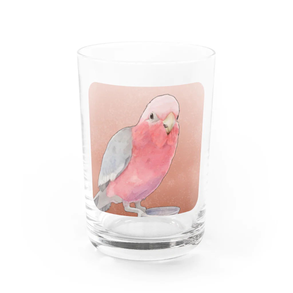 TeaDrop.Cのモモイロインコ Water Glass :front
