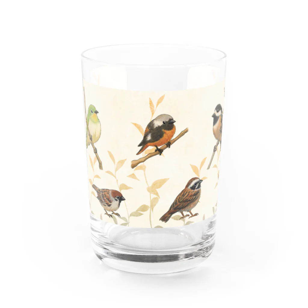 TeaDrop.Cの野鳥 Water Glass :front