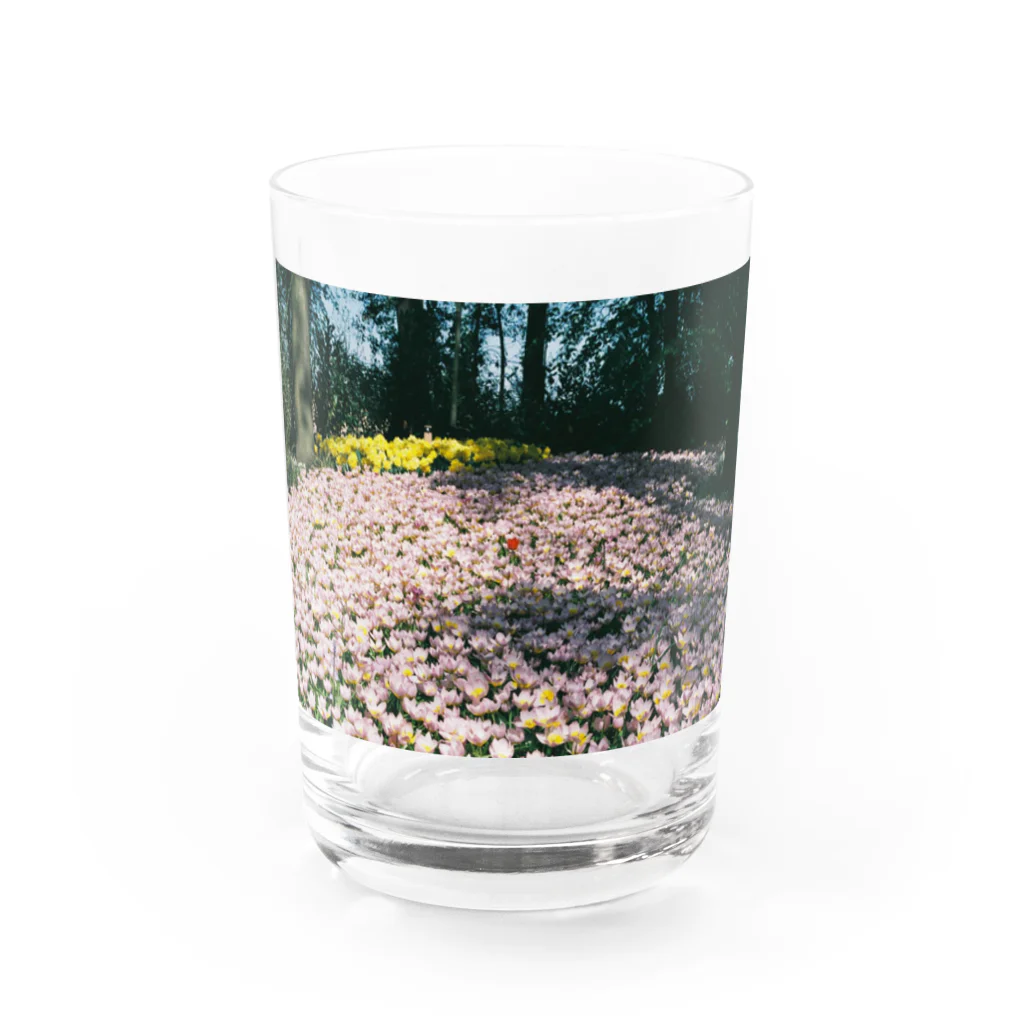 𝑅𝑖𝑛𝑎 𝐴𝑚𝑎𝑔𝑎𝑦𝑎のOnly  not Lonely Water Glass :front