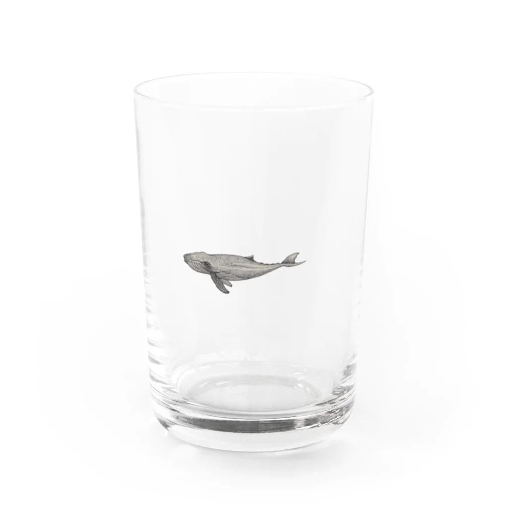 MANDALA MADARAの鯨 Water Glass :front