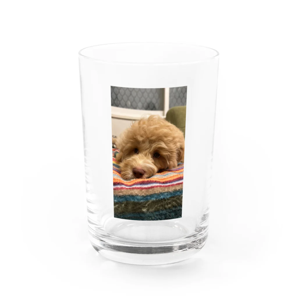 08gum20のラブラドゥードル Water Glass :front