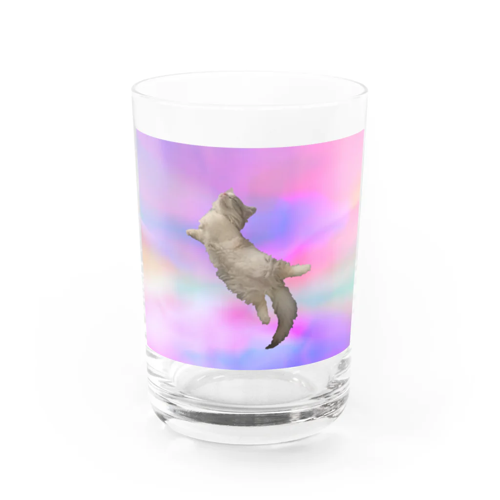 おもち屋さんのサイケデリックな猫 Water Glass :front