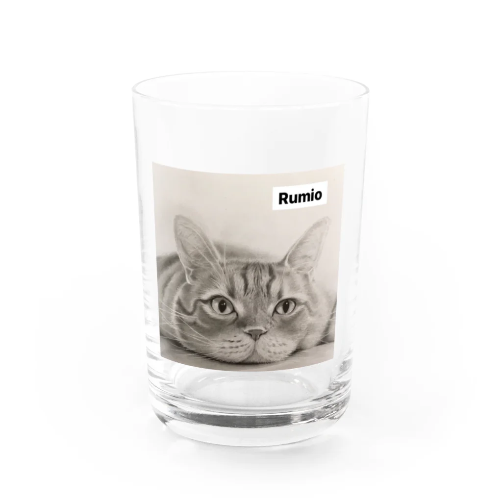 RumioのKantaro Water Glass :front