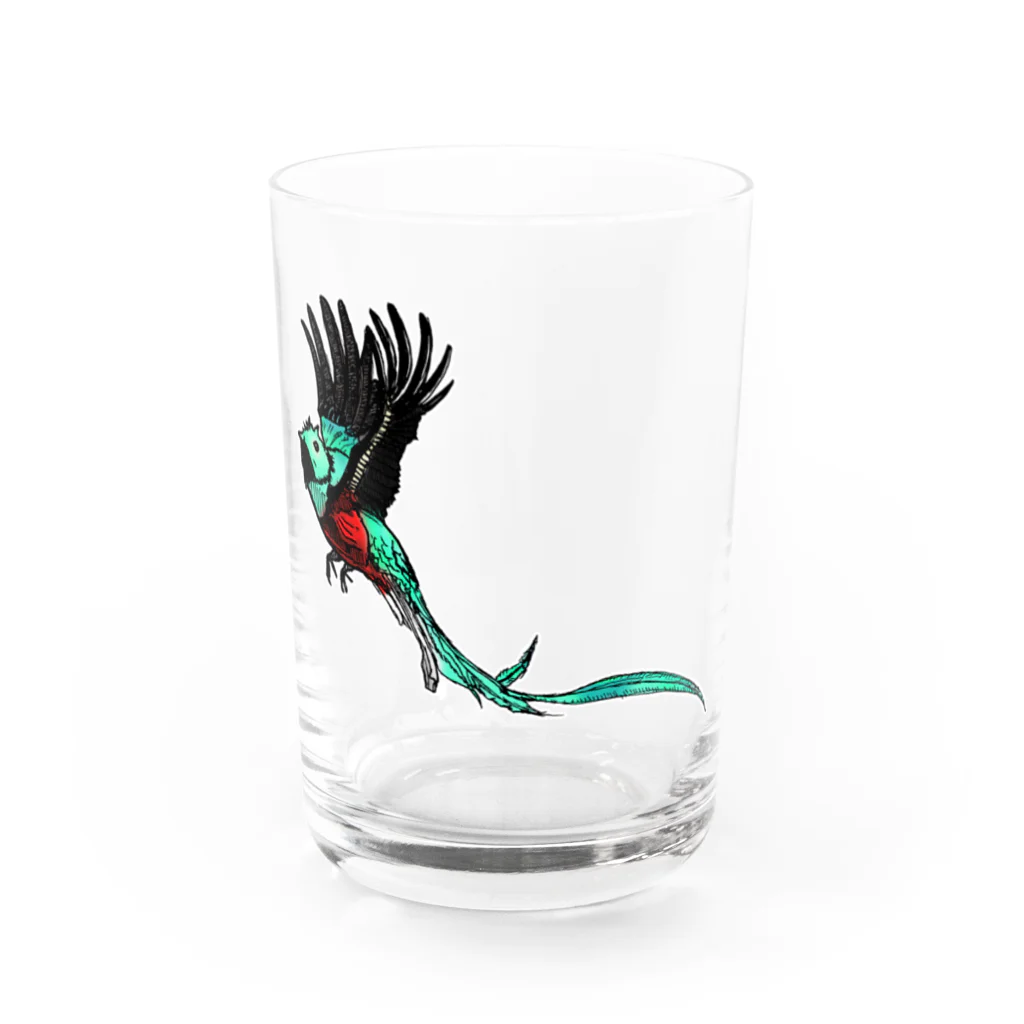 ぺちぺち工房 Pechi Pechi Atelierの世界一美しい鳥 ケツァール Water Glass :front