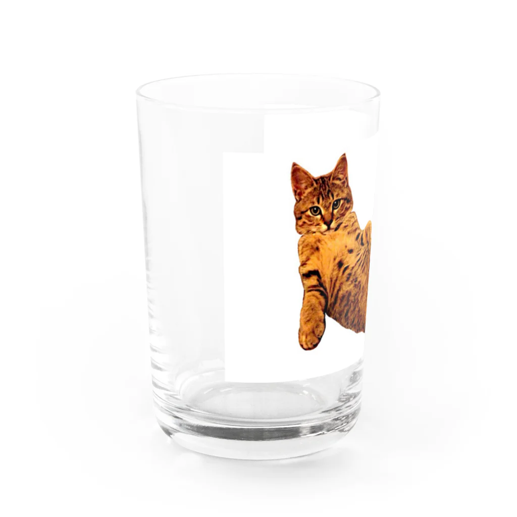 Elegant CatのElegant Cat ③ Water Glass :front