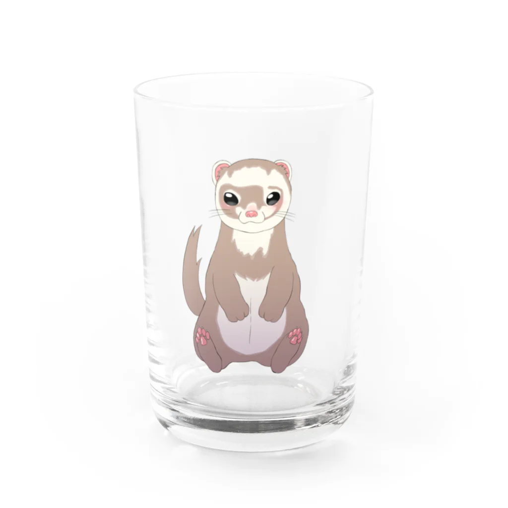 まめまま（フェレット）のフェレットシャンペン Water Glass :front