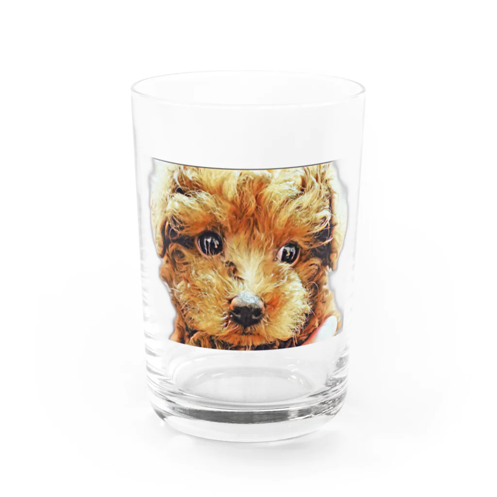 Paloのコハクちゃん Water Glass :front