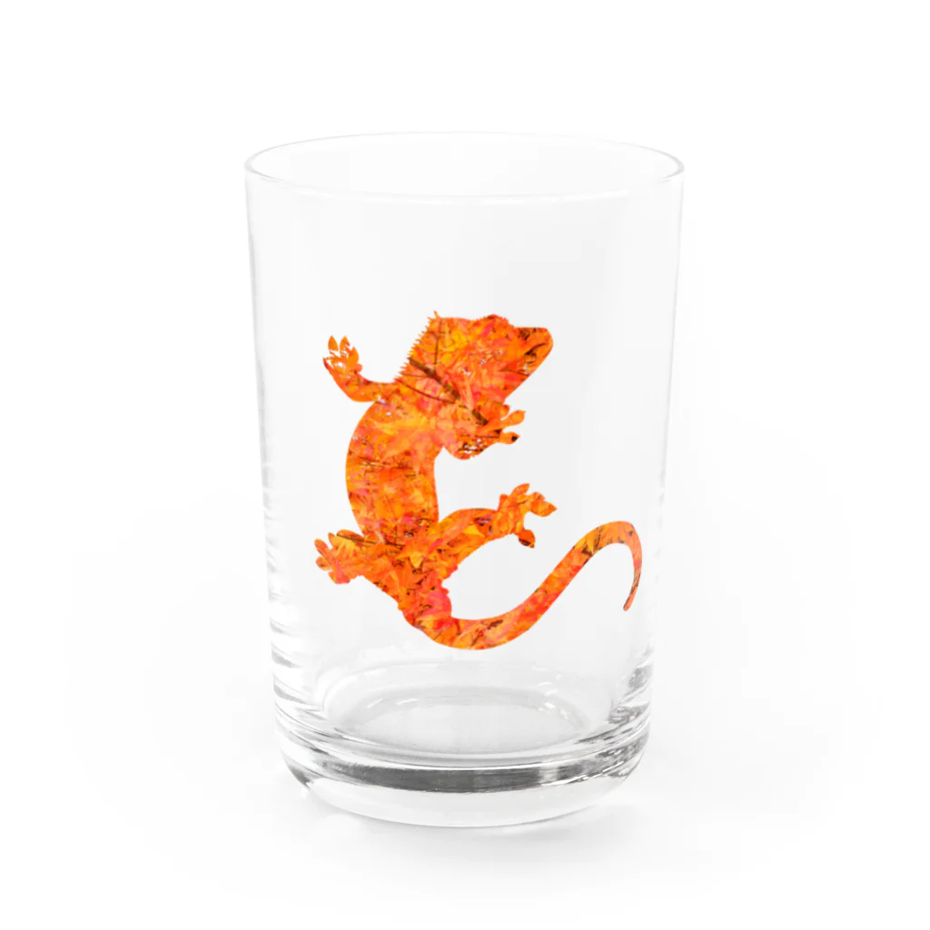 りっちゃん🦖のクレステッドゲッコー×紅葉 Water Glass :front