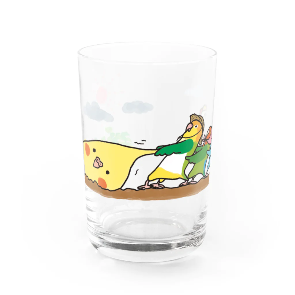 オグチヨーコの大きな大きなオカメ Water Glass :front