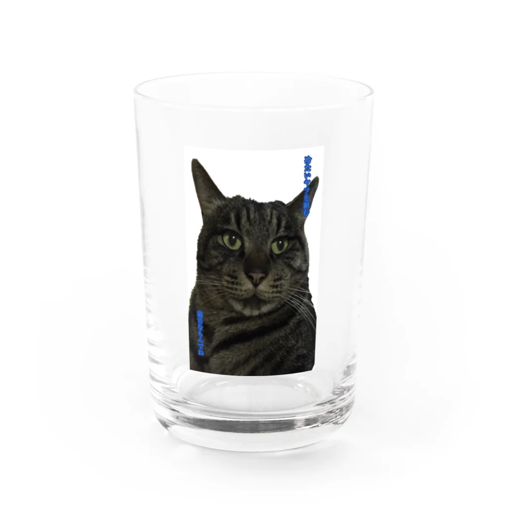 Chrisの猫舌さん用 Water Glass :front