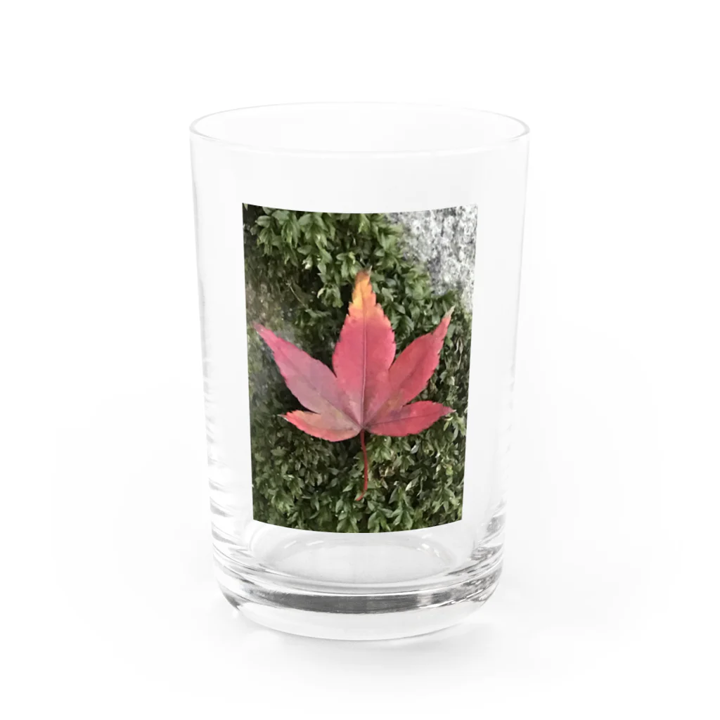 Ritsukokoroのmomijiee Water Glass :front