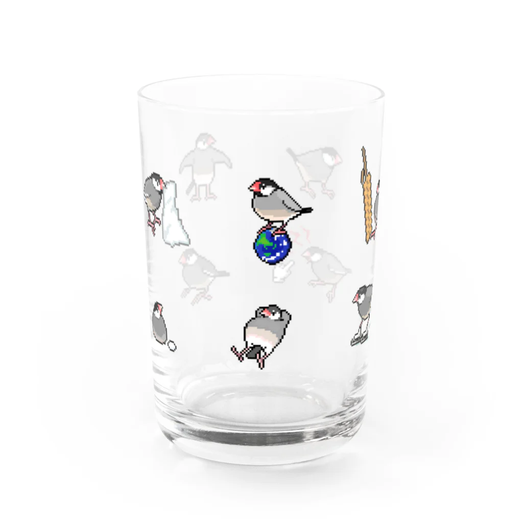 たかはらの桜文鳥が集合したよ Water Glass :front