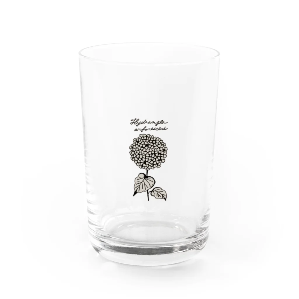 はるくいん文具店〜Laatikko∞Tの植物図鑑シリーズ...アナベル Water Glass :front