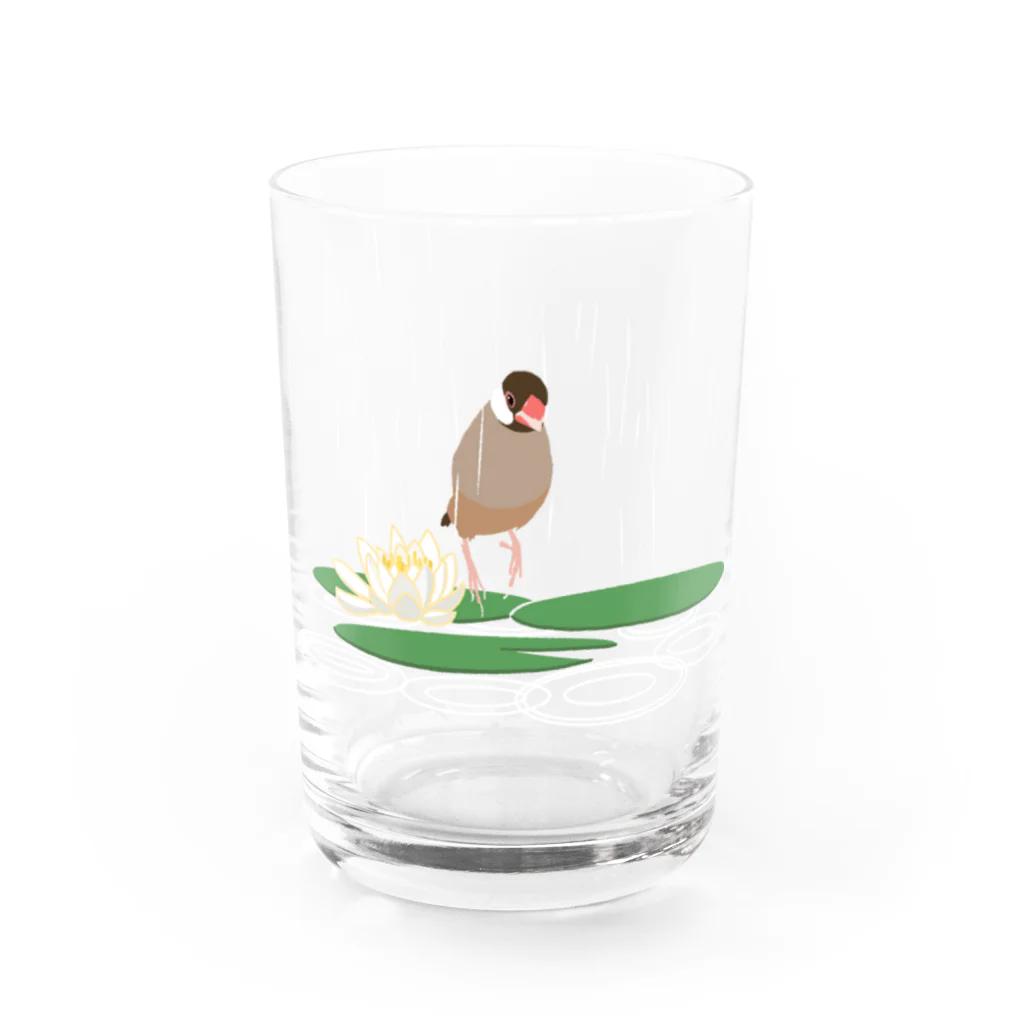 たかはらのケロケロ文鳥 Water Glass :front