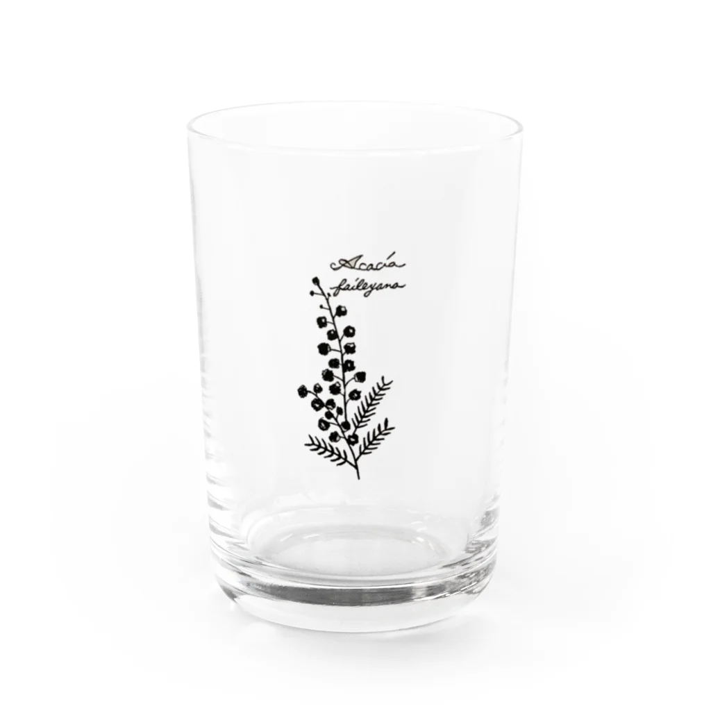 はるくいん文具店〜Laatikko∞Tの植物図鑑シリーズ…ミモザ Water Glass :front