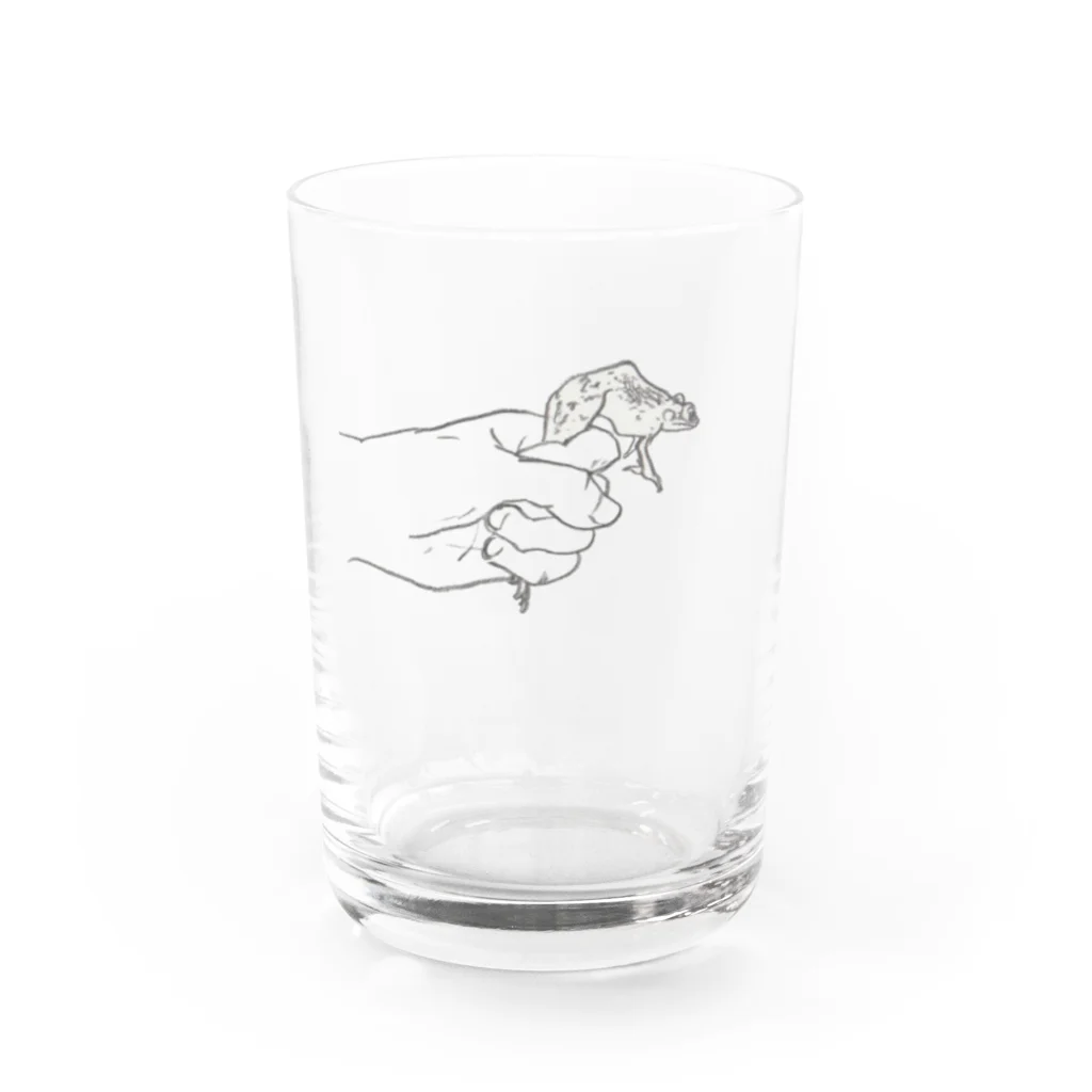 西表かえる連合公民館のa kaeru in the hand オオハナサキガエル （グラス用） Water Glass :front