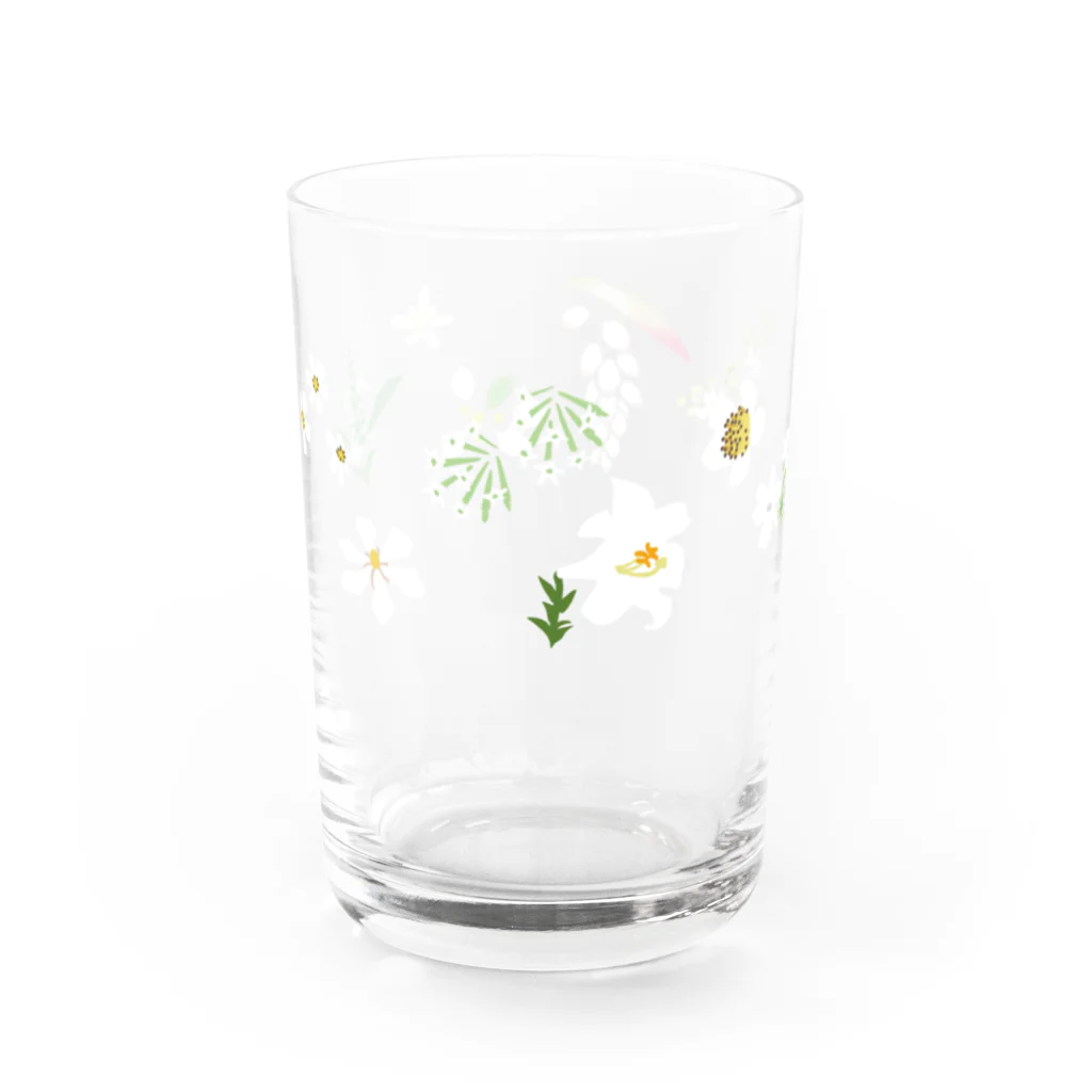 しまのなかまfromIRIOMOTEの西表島の白い花（11種） Water Glass :front