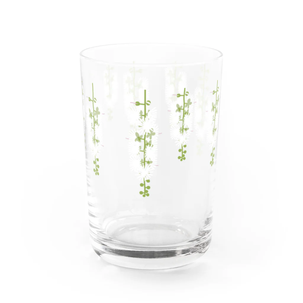 しまのなかまfromIRIOMOTEの西表島の白い花（サガリバナ） Water Glass :front