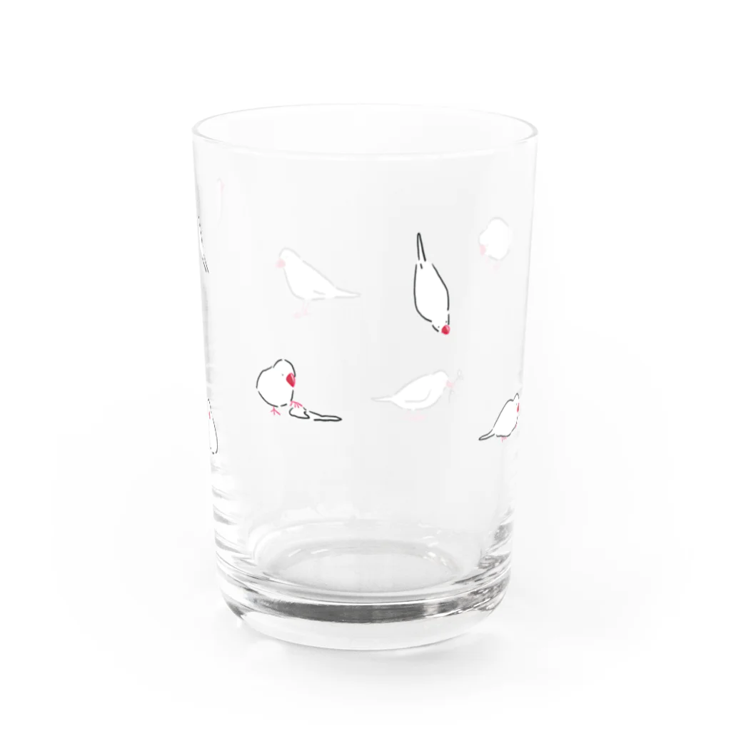 kfkxのシロブンチョウ Water Glass :front