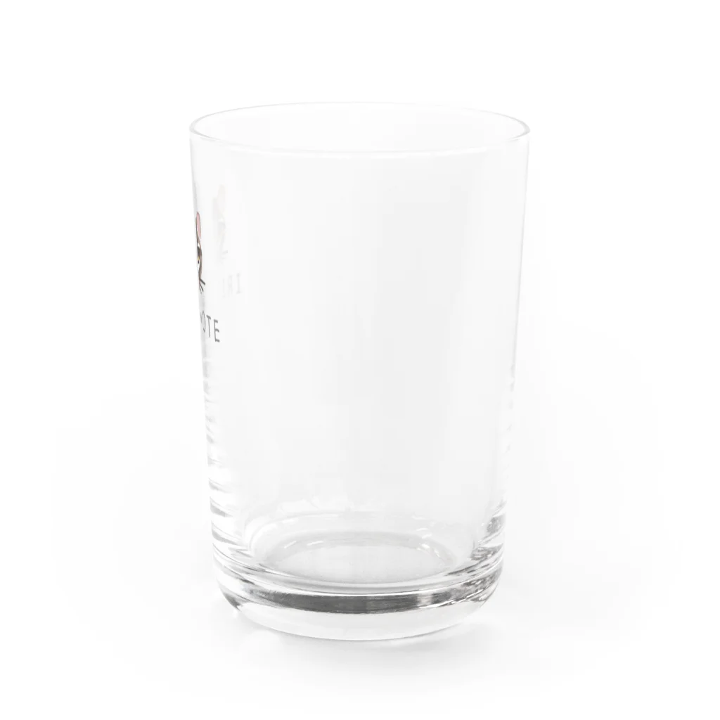 しまのなかまfromIRIOMOTEのIRIOMOTE イリオモテヤマネコ（顔） Water Glass :front