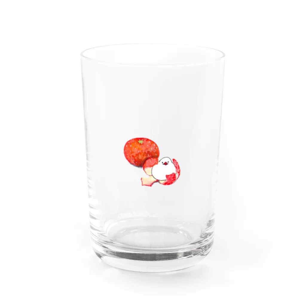 tomocoのみかん Water Glass :front