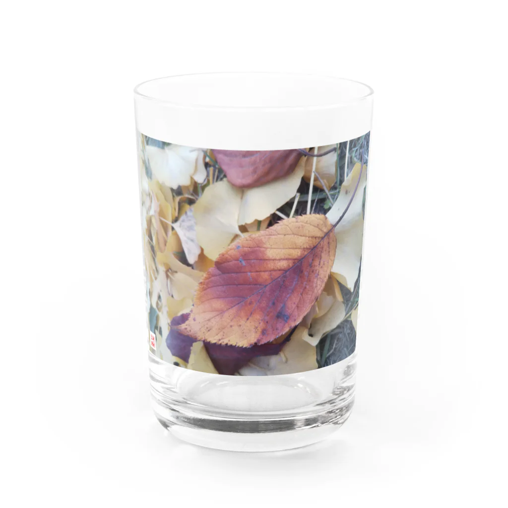 masaking-chance_4512のAW Water Glass :front