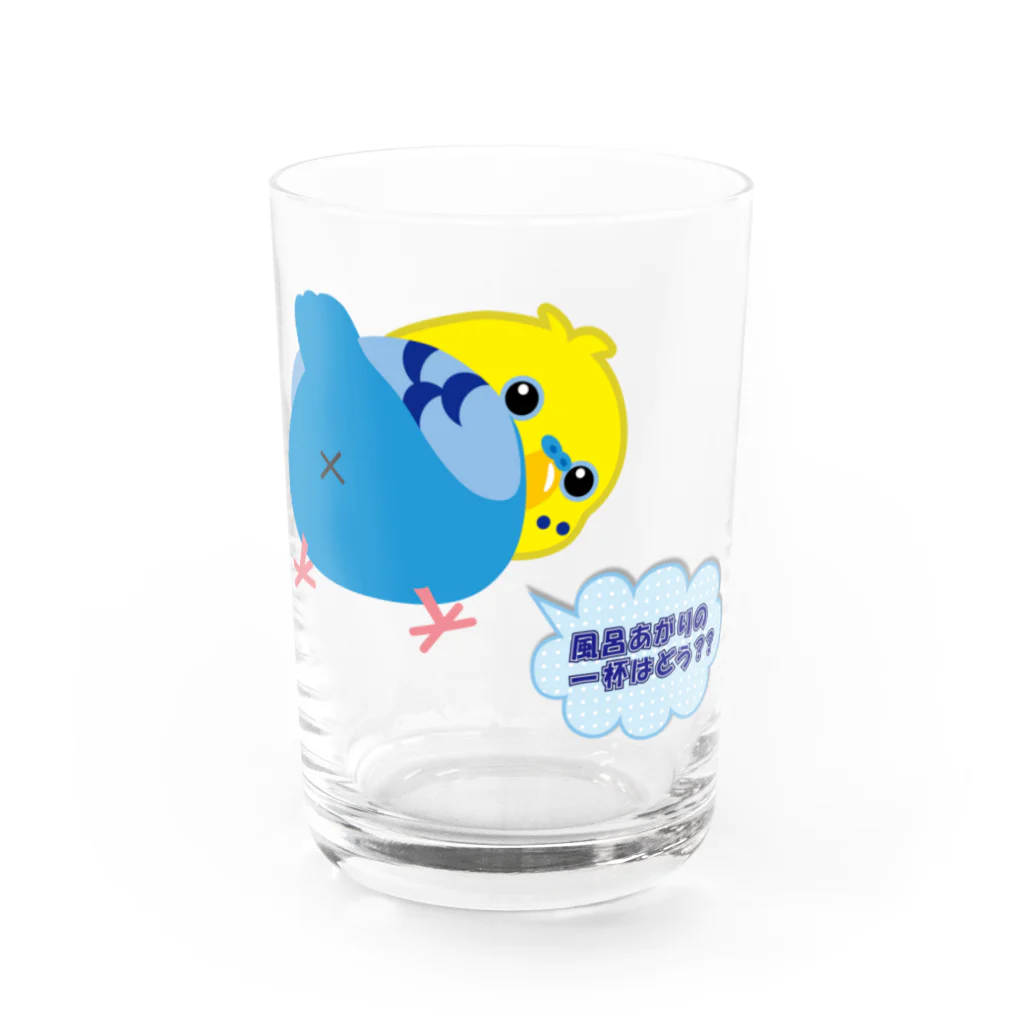 ぽぽりす@ぶんちょ組のおちりセキセイインコ（黄・青） Water Glass :front